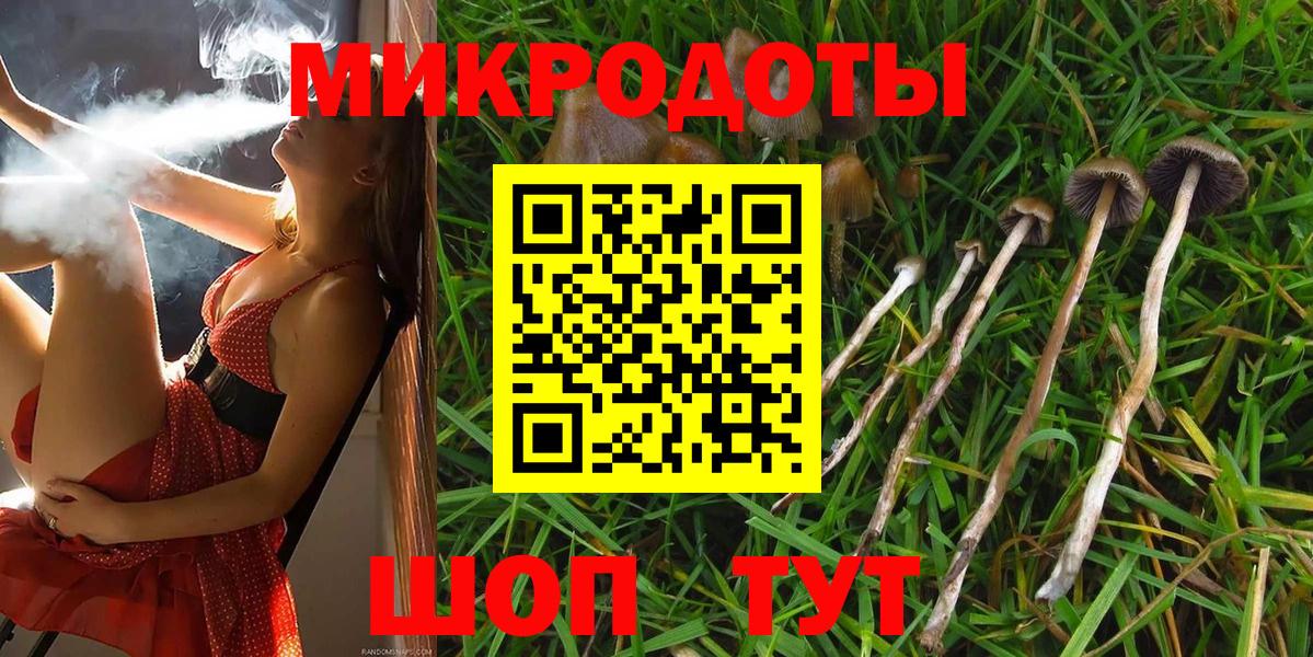 наркошоп  Псилоцибиновые грибы Psilocybe  Вход с VPN  Пушкино 