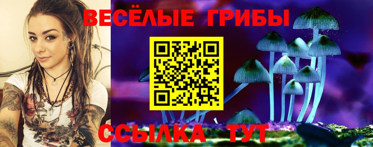 Псилоцибиновые грибы Magic Shrooms Пушкино